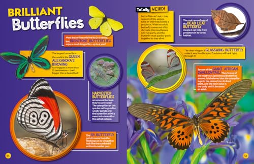 Weird but true! 2026: wild and wacky facts & photos! (National Geographic Kids)